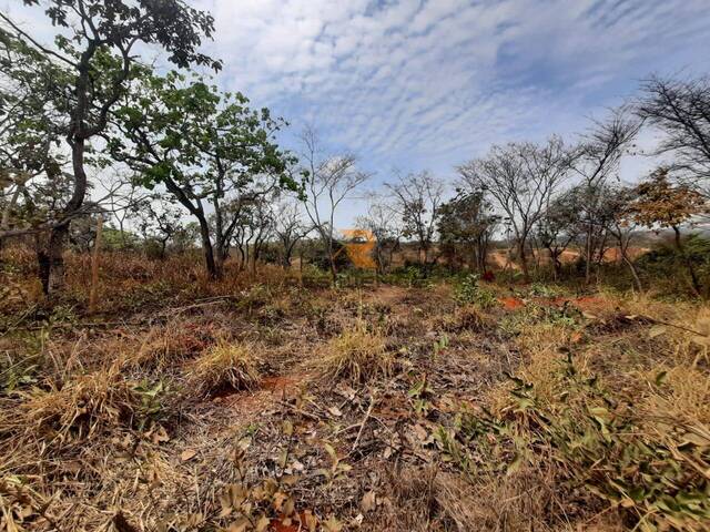 #691 - Lote para Venda em Lagoa Santa - MG - 1