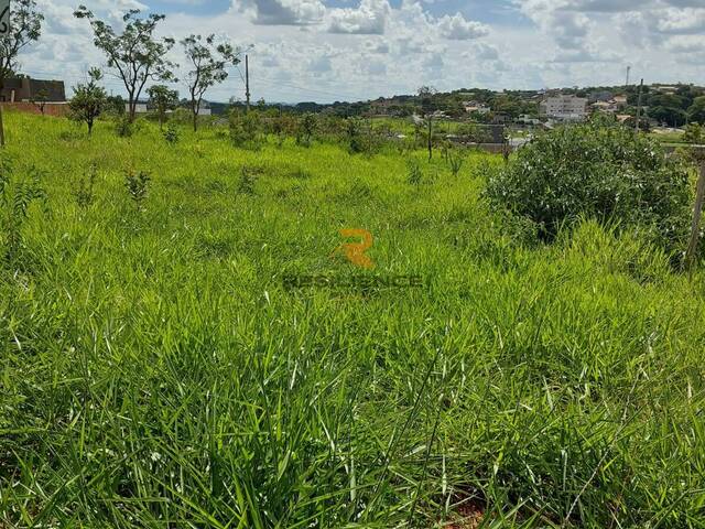 #1169 - Lote para Venda em Lagoa Santa - MG - 3