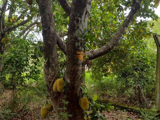 #1225 - Área para Venda em Lagoa Santa - MG - 3