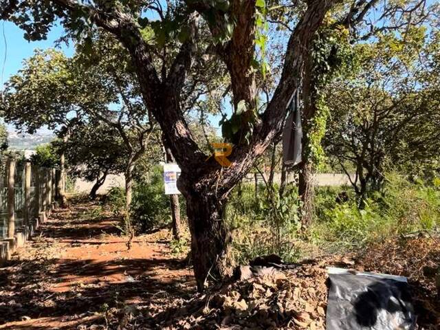 #1295 - Lotes em condomínio para Venda em Lagoa Santa - MG - 1