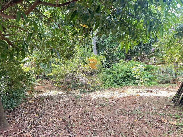 #1581 - Lote para Venda em Lagoa Santa - MG - 3